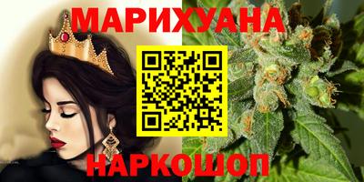 шишки Новозыбков