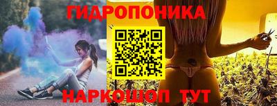 шишки Новозыбков